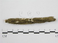 登錄號:F0004500藏品圖，第1張