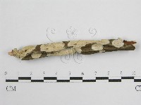 登錄號:F0004500藏品圖，第4張