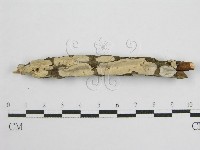 登錄號:F0004500藏品圖，第5張