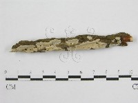 登錄號:F0004500藏品圖，第6張