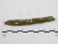 登錄號:F0004500藏品圖，第8張