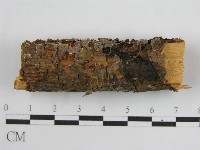 登錄號:F0004501藏品圖，第1張