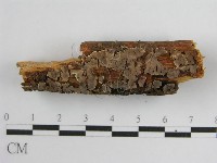 登錄號:F0004501藏品圖，第3張