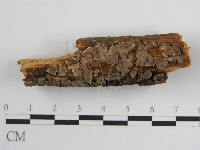 登錄號:F0004501藏品圖，第7張