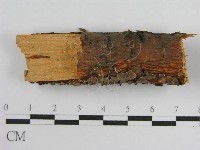 登錄號:F0004501藏品圖，第8張