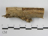 登錄號:F0004502藏品圖，第5張