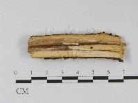 登錄號:F0004503藏品圖，第3張