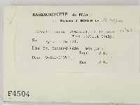 登錄號:F0004504藏品圖，第2張