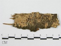 登錄號:F0004505藏品圖，第1張