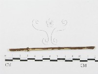 登錄號:F0004506藏品圖，第3張