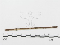 登錄號:F0004506藏品圖，第4張