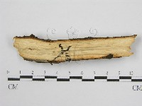 登錄號:F0004507藏品圖，第3張