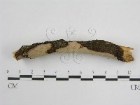 登錄號:F0004507藏品圖，第4張