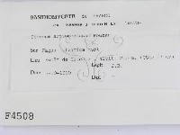 登錄號:F0004508藏品圖，第2張