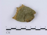 登錄號:F0004508藏品圖，第1張