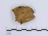 登錄號:F0004508藏品圖，第3張