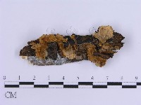 登錄號:F0004510藏品圖，第1張