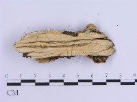 登錄號:F0004510藏品圖，第3張