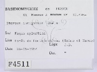 登錄號:F0004511藏品圖，第2張