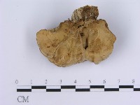 登錄號:F0004511藏品圖，第6張