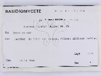 登錄號:F0004512藏品圖，第2張