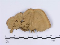 登錄號:F0004512藏品圖，第3張