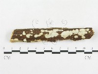 登錄號:F0004514藏品圖，第1張