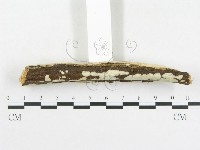 登錄號:F0004514藏品圖，第3張