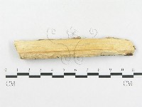 登錄號:F0004514藏品圖，第4張