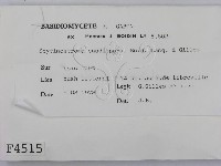 登錄號:F0004515藏品圖，第2張