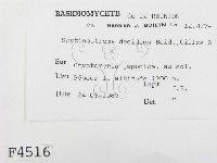 登錄號:F0004516藏品圖，第2張