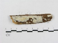 登錄號:F0004516藏品圖，第1張