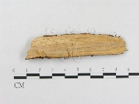 登錄號:F0004516藏品圖，第3張