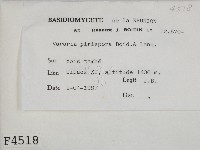 登錄號:F0004518藏品圖，第2張