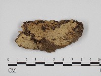 登錄號:F0004518藏品圖，第1張