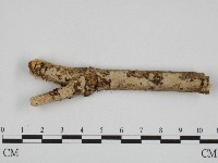 登錄號:F0004520藏品圖，第1張