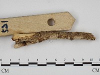 登錄號:F0004520藏品圖，第3張