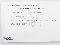登錄號:F0004521藏品圖，第2張