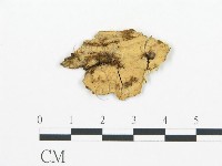 登錄號:F0004523藏品圖，第1張