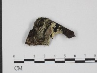 登錄號:F0004524藏品圖，第1張