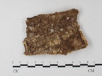 登錄號:F0004525藏品圖，第3張