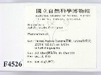 顯絲菌屬藏品圖，第2張