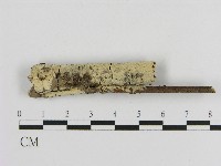 登錄號:F0004527藏品圖，第1張