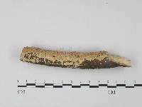 登錄號:F0004528藏品圖，第1張