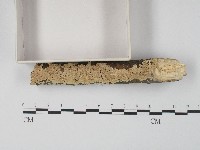 登錄號:F0004528藏品圖，第3張