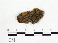 登錄號:F0004530藏品圖，第1張