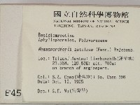 登錄號:F0004531藏品圖，第2張