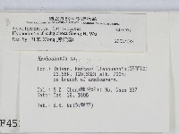 登錄號:F0004532藏品圖，第2張