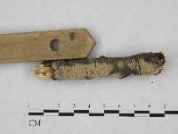 登錄號:F0004532藏品圖，第3張