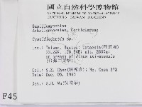 登錄號:F0004534藏品圖，第2張